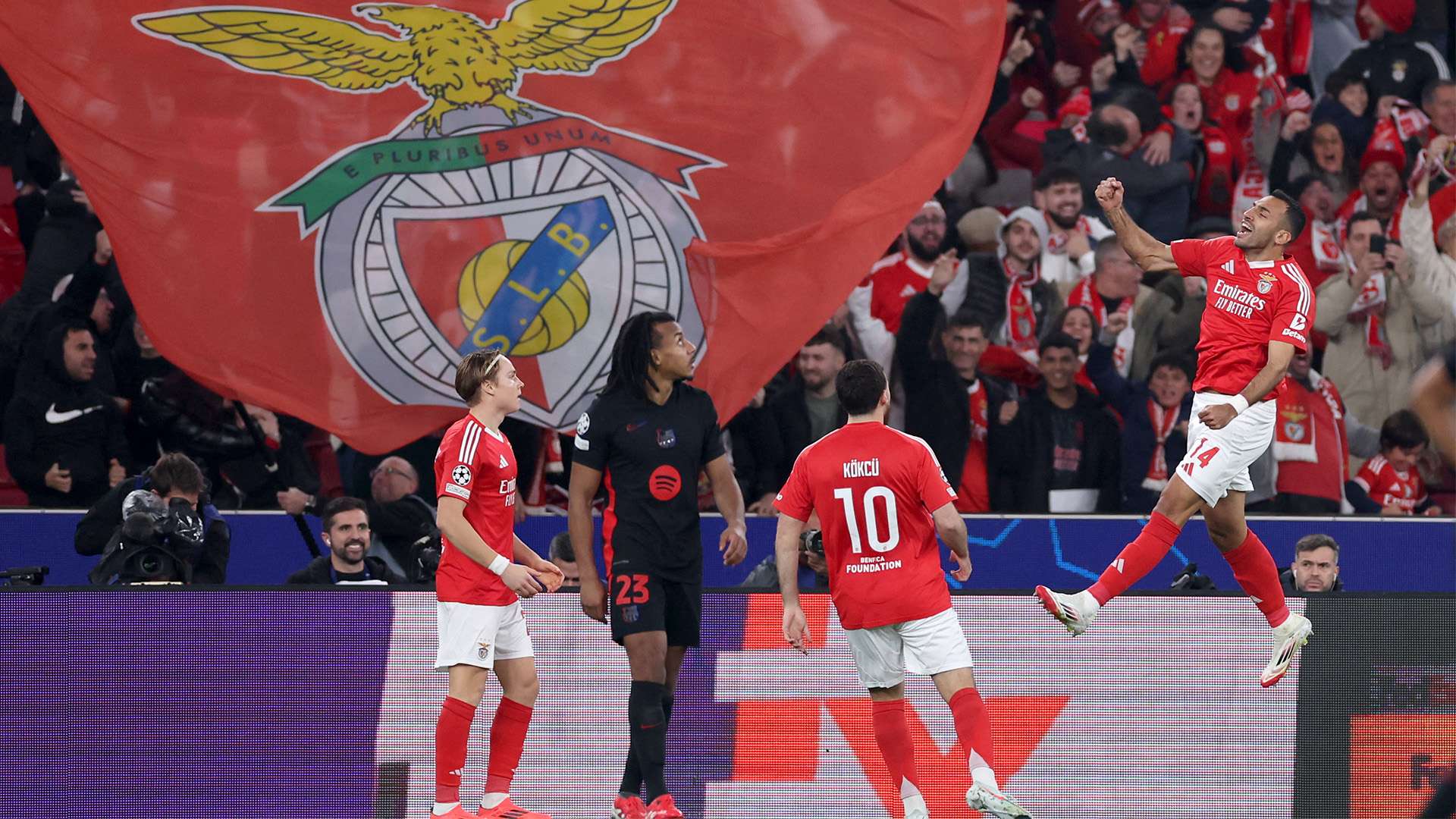 赢得了无数 赢得了无数